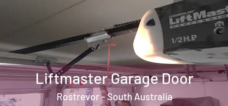 Liftmaster Garage Door Rostrevor - South Australia