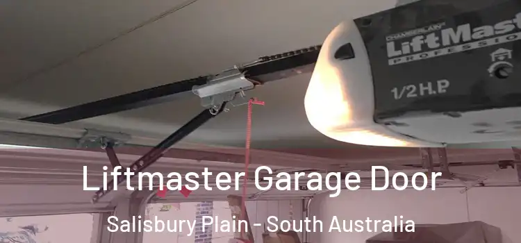 Liftmaster Garage Door Salisbury Plain - South Australia