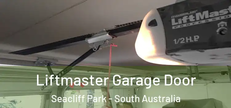 Liftmaster Garage Door Seacliff Park - South Australia