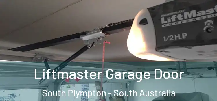 Liftmaster Garage Door South Plympton - South Australia