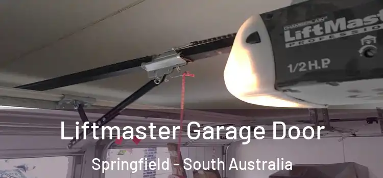Liftmaster Garage Door Springfield - South Australia