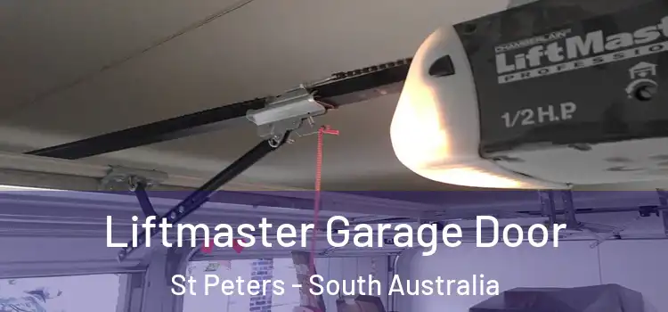 Liftmaster Garage Door St Peters - South Australia