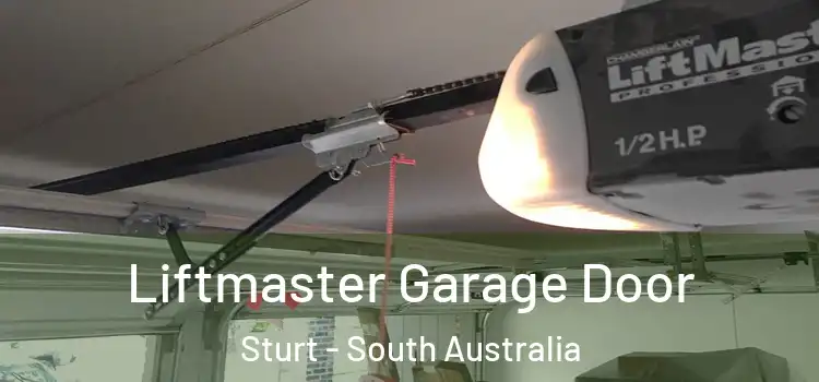 Liftmaster Garage Door Sturt - South Australia