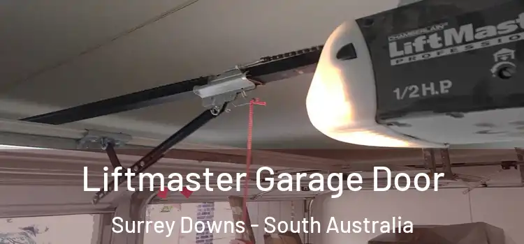 Liftmaster Garage Door Surrey Downs - South Australia