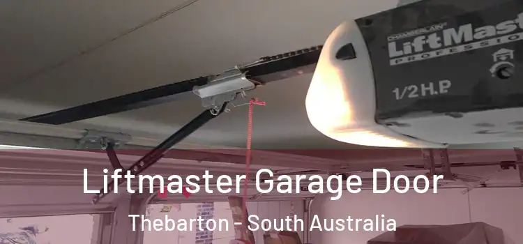 Liftmaster Garage Door Thebarton - South Australia