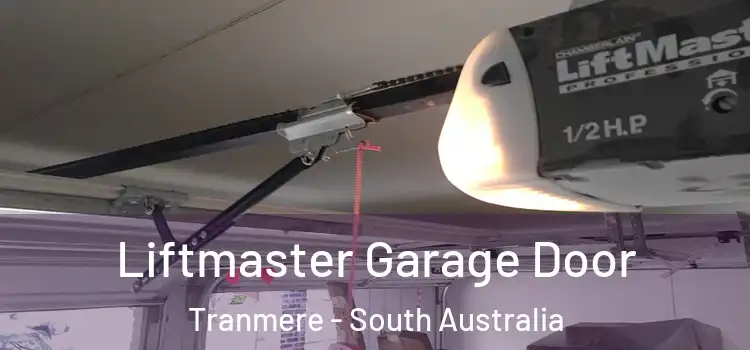 Liftmaster Garage Door Tranmere - South Australia