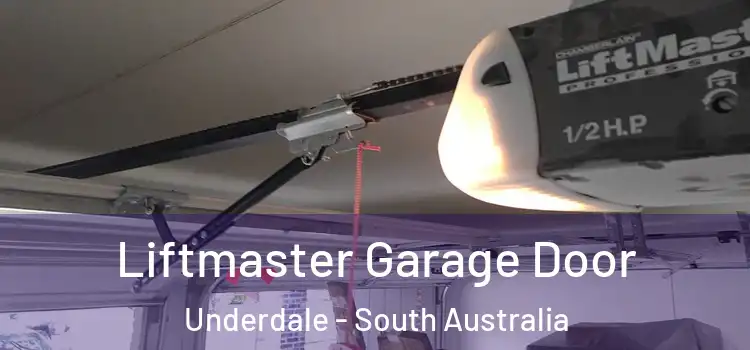 Liftmaster Garage Door Underdale - South Australia