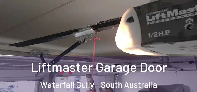 Liftmaster Garage Door Waterfall Gully - South Australia