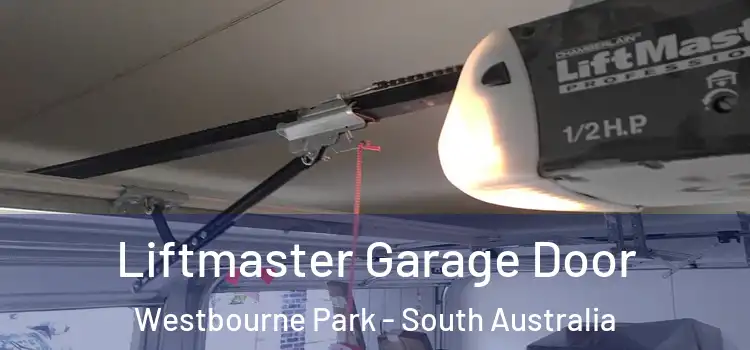 Liftmaster Garage Door Westbourne Park - South Australia
