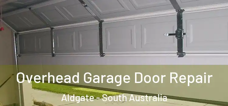 Overhead Garage Door Repair Aldgate - South Australia