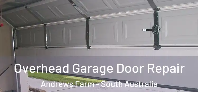 Overhead Garage Door Repair Andrews Farm - South Australia