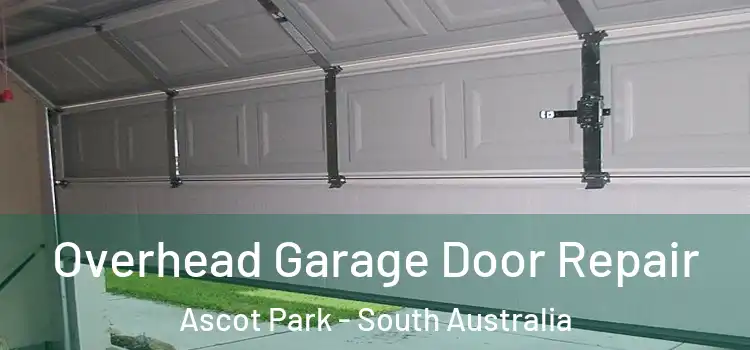 Overhead Garage Door Repair Ascot Park - South Australia