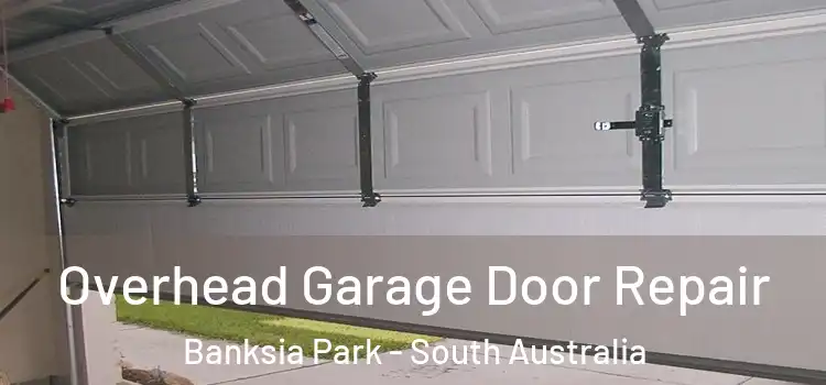 Overhead Garage Door Repair Banksia Park - South Australia