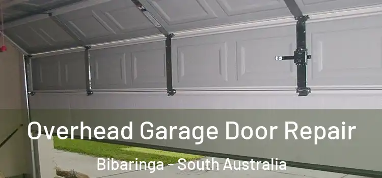Overhead Garage Door Repair Bibaringa - South Australia