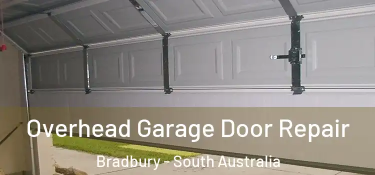 Overhead Garage Door Repair Bradbury - South Australia