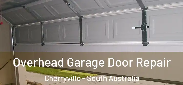 Overhead Garage Door Repair Cherryville - South Australia