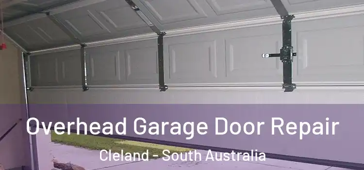 Overhead Garage Door Repair Cleland - South Australia