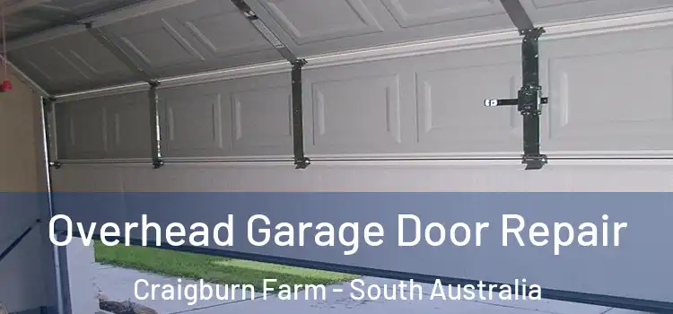 Overhead Garage Door Repair Craigburn Farm - South Australia