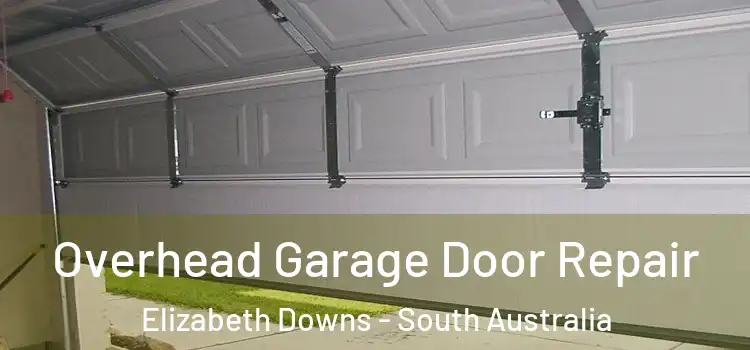 Overhead Garage Door Repair Elizabeth Downs - South Australia
