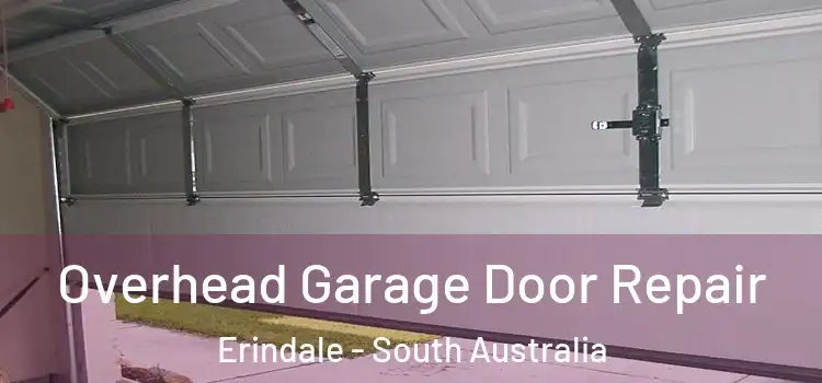 Overhead Garage Door Repair Erindale - South Australia