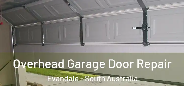 Overhead Garage Door Repair Evandale - South Australia