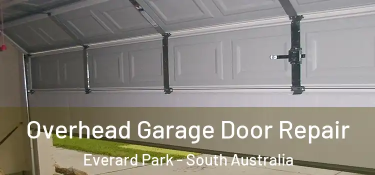 Overhead Garage Door Repair Everard Park - South Australia