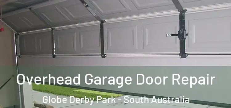 Overhead Garage Door Repair Globe Derby Park - South Australia