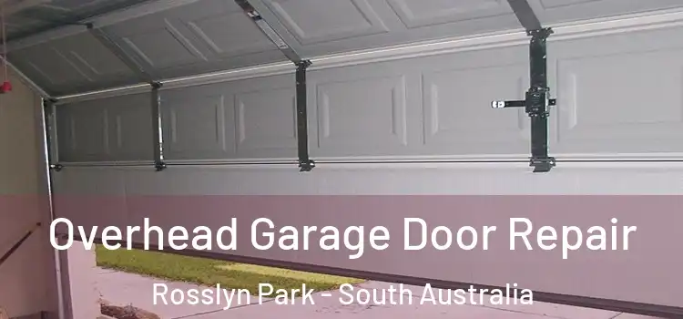 Overhead Garage Door Repair Rosslyn Park - South Australia