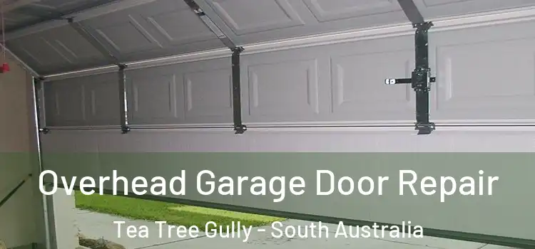 Overhead Garage Door Repair Tea Tree Gully - South Australia