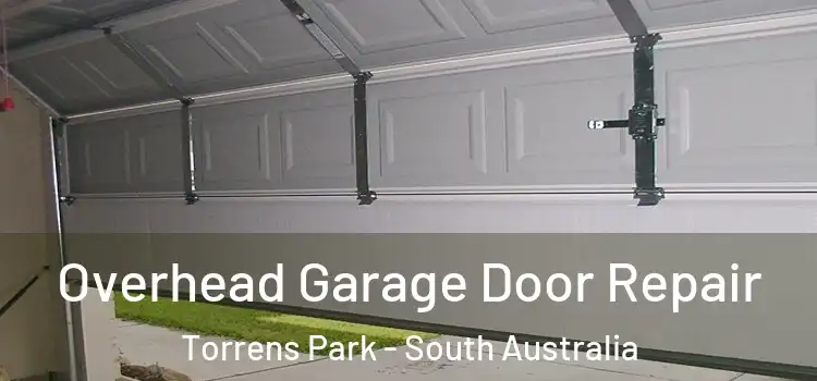 Overhead Garage Door Repair Torrens Park - South Australia