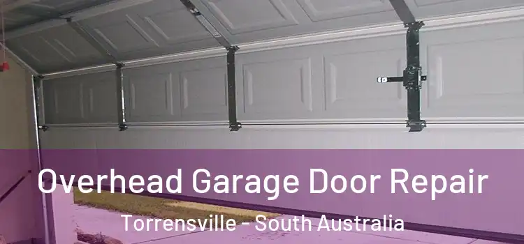 Overhead Garage Door Repair Torrensville - South Australia