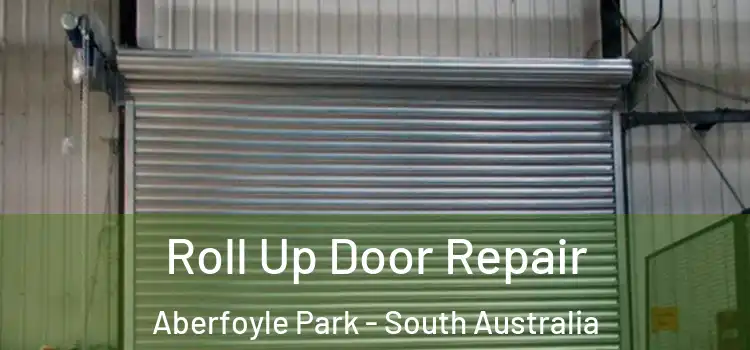 Roll Up Door Repair Aberfoyle Park - South Australia