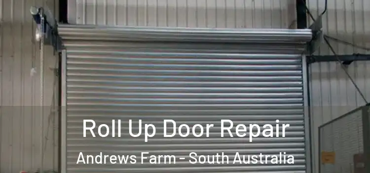 Roll Up Door Repair Andrews Farm - South Australia