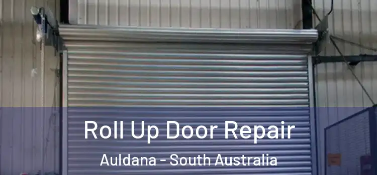 Roll Up Door Repair Auldana - South Australia