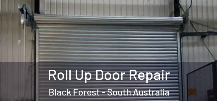 Roll Up Door Repair Black Forest - South Australia