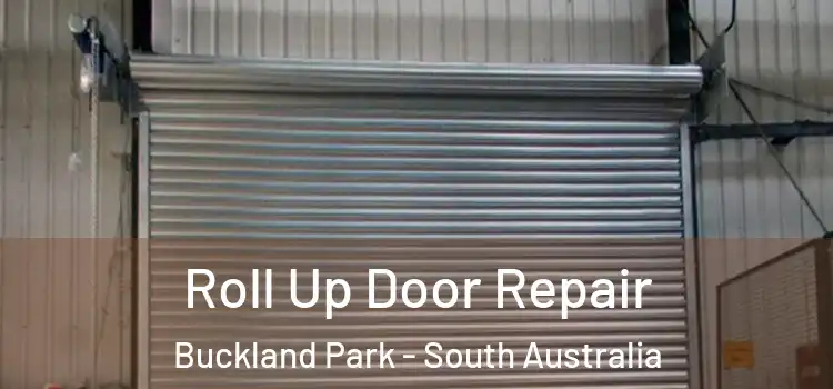 Roll Up Door Repair Buckland Park - South Australia