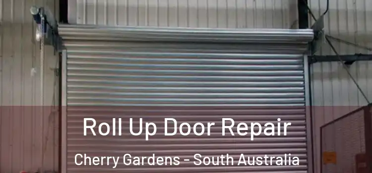 Roll Up Door Repair Cherry Gardens - South Australia