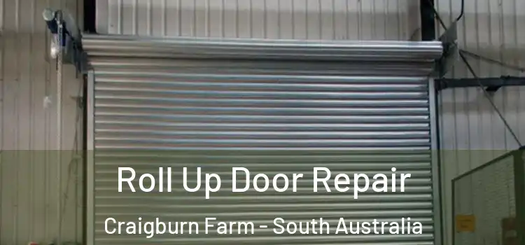Roll Up Door Repair Craigburn Farm - South Australia