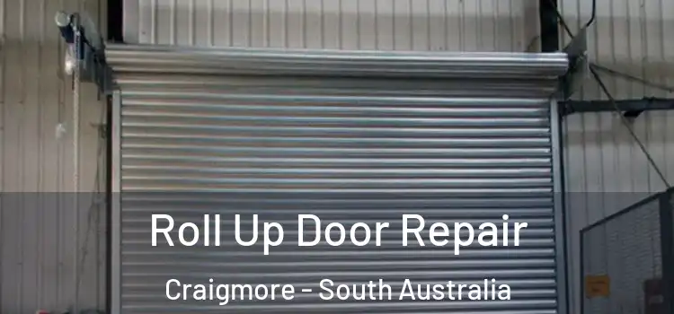 Roll Up Door Repair Craigmore - South Australia