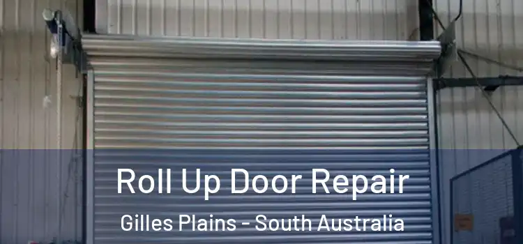 Roll Up Door Repair Gilles Plains - South Australia