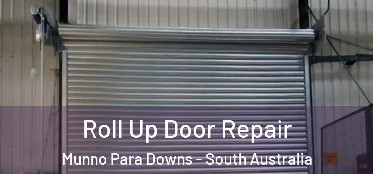 Roll Up Door Repair Munno Para Downs - South Australia
