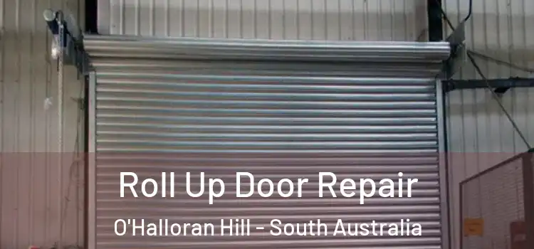 Roll Up Door Repair O'Halloran Hill - South Australia