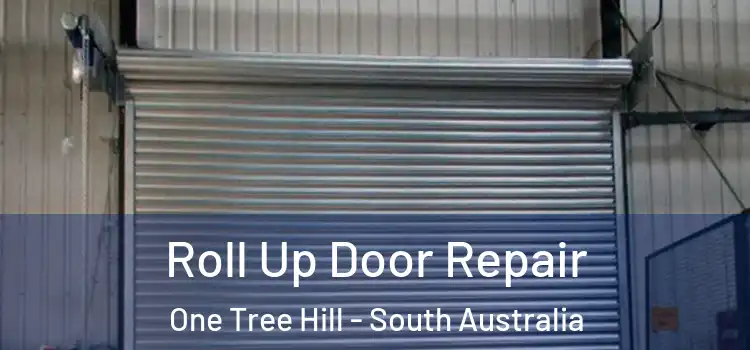 Roll Up Door Repair One Tree Hill - South Australia