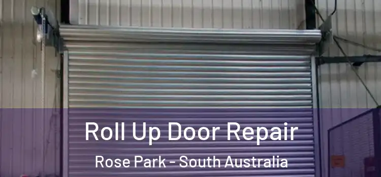 Roll Up Door Repair Rose Park - South Australia