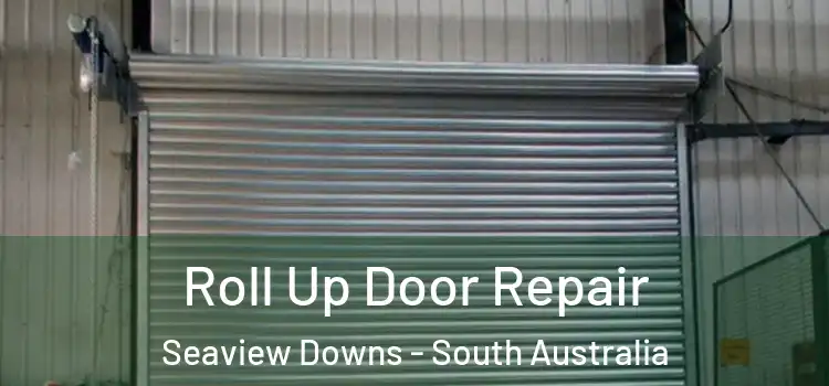 Roll Up Door Repair Seaview Downs - South Australia