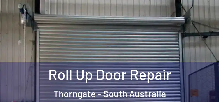 Roll Up Door Repair Thorngate - South Australia