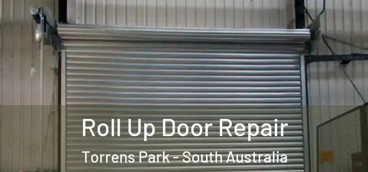 Roll Up Door Repair Torrens Park - South Australia