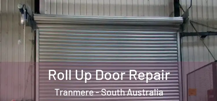 Roll Up Door Repair Tranmere - South Australia